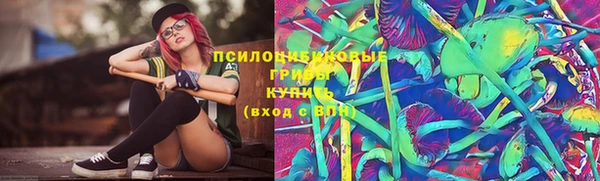 крисы Магадан